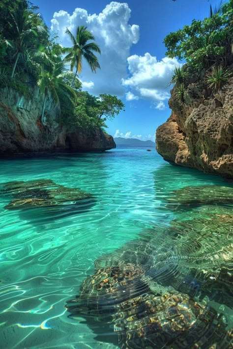 #iceland #caribbean Paradise Island Aesthetic, Carribean Islands Aesthetic, Tropical Moodboard, Ocean Landscape Photography, Holiday Locations, Caribbean Aesthetic, Caribbean Summer, Tropical Photography, Beautiful Beaches Paradise