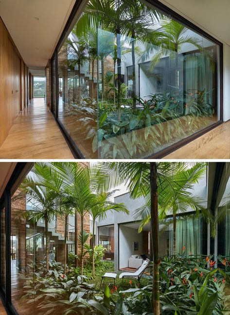 This modern house has an internal garden positioned in the middle of the home, creating a centerpiece that the house wraps around. Floor-to-ceiling windows provide a view of the garden, while at the same time allowing light to flow through to the interior of the home. #InternalGarden #Architecture #Windows Green Hospital, New Modern House, نباتات منزلية, Best Modern House Design, Casa Country, Garden Architecture, Floor To Ceiling, Courtyard House, Inside And Outside