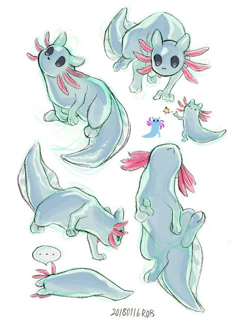 Kawaii Fantasy Creatures, Axolotl Creature Design, Cute Animal Hybrids, Orca Mermaid Art, Mythical Animals Drawing, Hybrid Animal Drawing, Axolotl Oc Drawing, Cute Fantasy Pets, Fantasy Pet Art