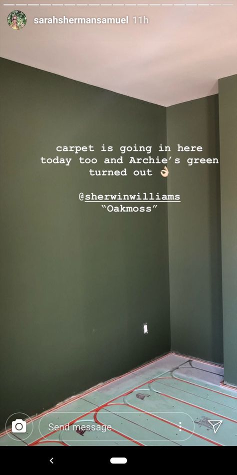 Oakmoss Sherwin Williams, Sherwin Williams Oakmoss, Green Wall Paint, Green Painted Walls, Island Bedroom, Bedroom Green, Green Wall, Log Homes, Sherwin Williams