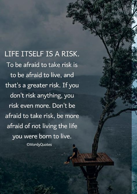 Life Risks Quotes, Life Is About Taking Risks Quotes, Quotes About Courage Take Risks, Take A Risk Quotes, Risk Taker Quotes, Take The Risk Quotes, Risk Taking Quotes, Take Risks Quotes, Quotes About Risk