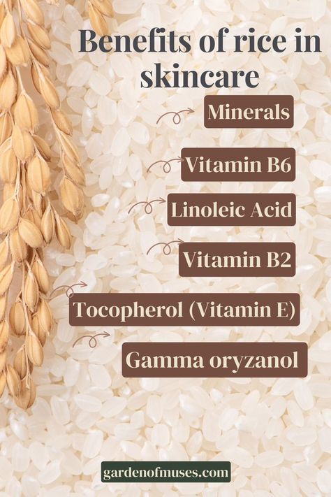 Benefits of rice in skincare Rice Benefits, Benefits Of Rice, Rice Toner, Thank You Farmer, Korean Rice, Vitamin B2, Linoleic Acid, Vitamin B6, Homemade Beauty Products