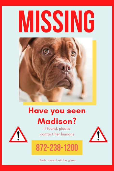 Looking to create a customized flyer for your missing pet? Look no further! Our online design tools make it easy to add your own video, photos, and text to our flyer templates. You can create a unique design that will catch people's attention. Our flyer templates are specifically tailored for lost or missing pets. Tags: lost dog, lost pet, missing dog, missing pet, poster design, flyer designs, flyer templates, flyer templates, poster design, flyer publicity Pet Poster Design, Missing Pet Poster, Design Tools, Losing A Dog, Losing A Pet, Pet Home, Have You Seen, Editorial Design, Online Design