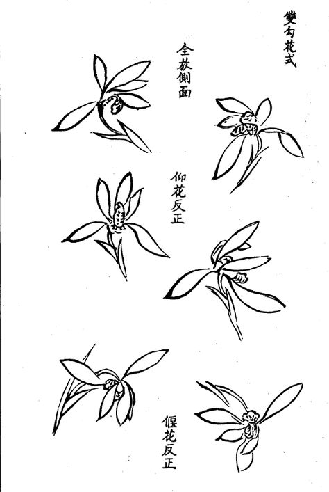 Chinese Painting Flowers, Orchid Drawing, Japanese Ink Painting, Chinese Drawings, Sumi E Painting, Flower Line Drawings, Ink Wash Painting, Chinese Art Painting, Chinese Brush Painting