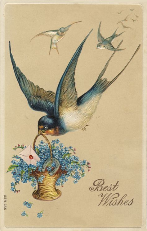 Antique Postcard Images From My Personal Collection - Birds Images Victoriennes, Postal Vintage, Birds And Flowers, Antique Postcard, Old Postcards, Vintage Greeting Cards, Vintage Birds, Vintage Printables, Vintage Ephemera