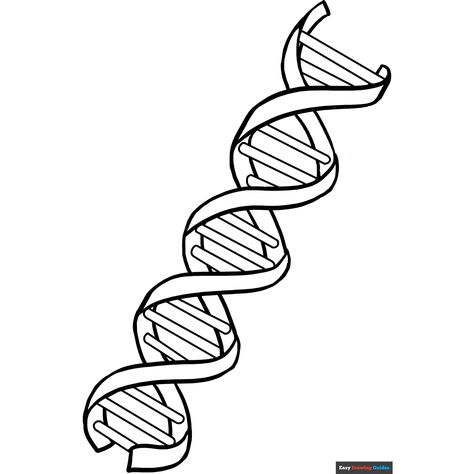 Free DNA Coloring Page for Kids Coloring Pictures For Kids, Easy Drawing Guides, People Coloring Pages, Free Printable Coloring Sheets, Drawing Guides, Heart Coloring Pages, Cartoon Hair, Kids Print, Printable Coloring Sheets