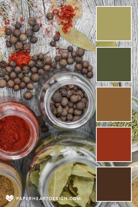 SPICE JARS Stunning view, beautiful colors. HEX CODES: #4a2f1e #97311a #8d6134 #535838 #aaa264 Earth Colour Palette, Indian Colours, Color Schemes Colour Palettes, Spice Cabinet, Nature Color Palette, Spice Jar, Earth Color, Mood And Tone, Toned Paper