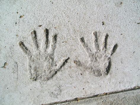 Handprints in Cement. A child's handprints in the cement of a sidewalk along Bea , #AFF, #child, #handprints, #Handprints, #Cement, #cement #ad Concrete Pavers Diy, Pavers Diy, Cement Wall, Out Of The Woods, Concrete Pavers, New Romantics, Taylor Swift Songs, Moving House, In Boston