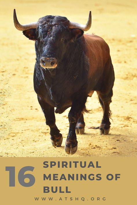 bull symbolism Bull Spirit Animal Meaning, Bull Symbolism, Bull Quotes, Spirit Animal Meaning, Animal Meanings, Celtic Druids, Charging Bull, Taurus Constellation, Bull Cow