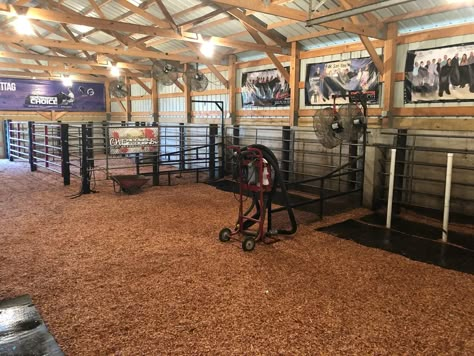 Show Cattle Trailers, Show Pig Barn Ideas, Show Cattle Barn Layout, Livestock Barn Plans, Cow Barn Ideas, Pig Barn Ideas, Show Pig Barn, Cattle Barn Designs, Show Cattle Barn