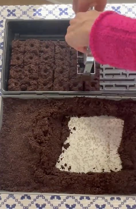 Soil Blocking, Cut Flower Farm, Seed Starting Mix, Peat Moss, Large Tray, Garden Soil, Seed Starting, Plastic Containers, Flower Farm