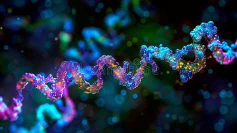 The assembly of the preinitiation complex formed by the coordinated action of transcription factors and RNA polymerase stock photography Rna Polymerase, Transcription, Stock Photography, Photo Image, Stock Photos, Human, Photography