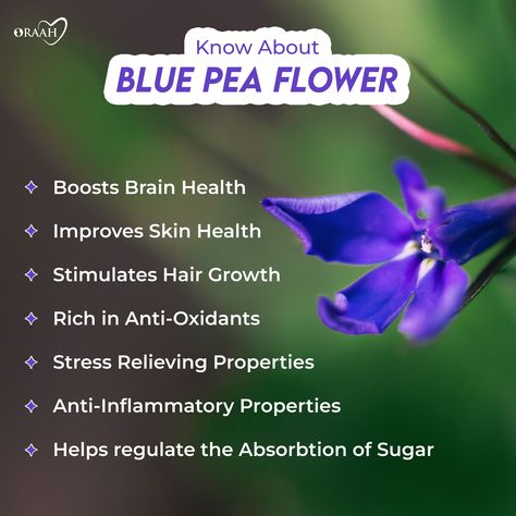 Blue Pea Flower Benefits, Blue Butterfly Pea Flower Benefits, Butterfly Pea Tea Benefits, Butterfly Pea Flower Benefits, Butterfly Pea Flower Tea Benefits, Blue Pea Tea, Blue Butterfly Pea Flower Tea, Blue Pea Flower, Pea Flower Tea