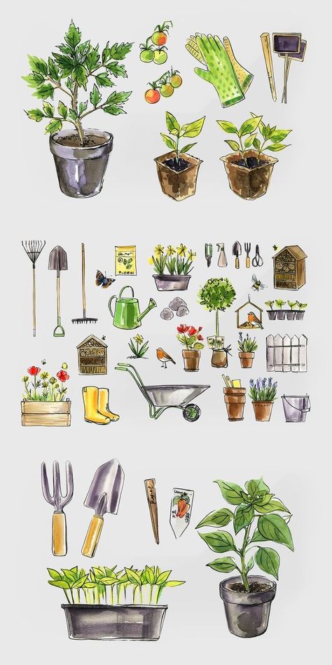 Santa Rita Planta, Garden Sketches, Garden Objects, Garden Shed Interiors, Bullet Art, Garden Illustration, Graphic Design Books, Garden Drawing, Garden Watercolor