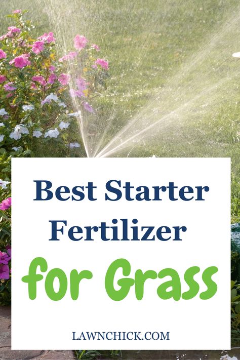 If you're planting grass seed, it's crucial to use the right starter fertilizer. That's why we put together this blog post about the best starter fertilizer for grass. We reveal the perfect NPK ratio for lawn starter fertilizer, so you know what to look for. Plus, we go over everything you need to know about quick-release vs slow-release fertilizer, organic vs synthetic fertilizer, and granular vs liquid fertilizer. Of course, we also reveal our list of the best starter fertilizers this year! Planting Grass Seed, Lawn Food, Tall Fescue, Planting Grass, Best Starters, Diy Lawn, Lawn Fertilizer, Liquid Fertilizer, Grass Seed