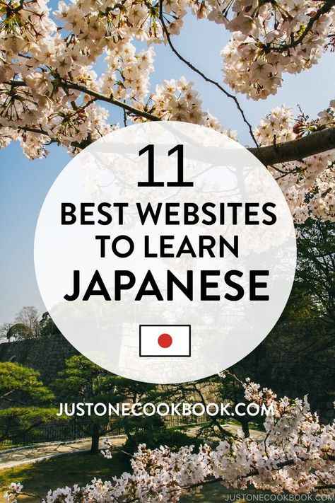 Wish to learn Japanese? We've gathered a list of online resources for learning Japanese just for you. Also, find helpful tips on how to improve your learning.  #japaneselanguage #japanese | JustOneCookbook.com Japanese Resource, Learn Japanese Beginner, Japanese Resources, Learn Japan, Just One Cookbook, Japanese Language Lessons, Learn Japanese Words, Learning Japanese, Japanese Language Learning