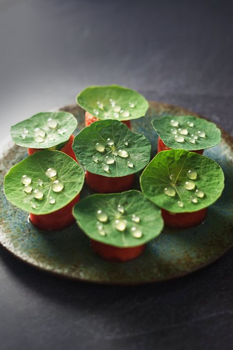 Wild Mint, Fresh Watermelon, Molecular Gastronomy, Food Presentation, Food Plating, Beautiful Food, Food Design, Food Styling, Gourmet Recipes