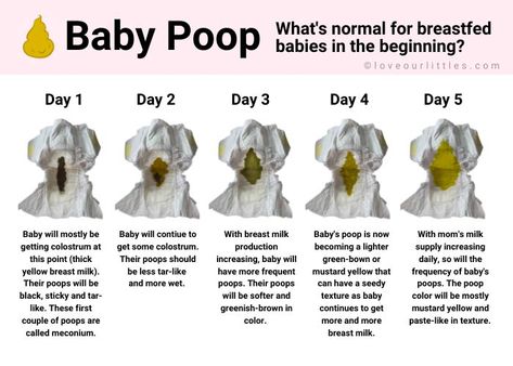 Baby Poop Chart, Breastfed Baby Poop, Stool Chart, Baby Poop, Colors Chart, Mom Milk, Breastfed Baby, 5 Babies, Baby Tips