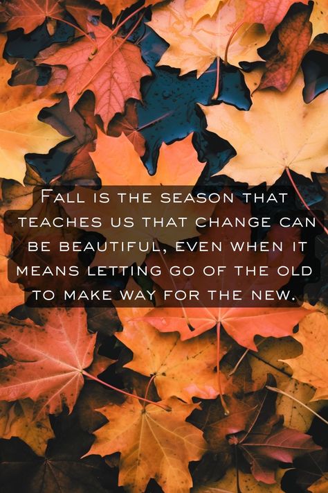 Samhain Decor, Hello Fall Quotes, Autumn Quotes Inspirational, Fall Hygge, Get Well Messages, First Day Of Autumn, Autumn Witch, Fall Quotes, Autumn Weather