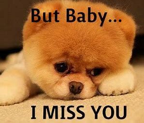 Missing You Memes, I Miss You Cute, Kisses Quotes, God Verses, Miss You Images, Love You Poems, Animal Captions, Hugs And Kisses Quotes, Boo Thang