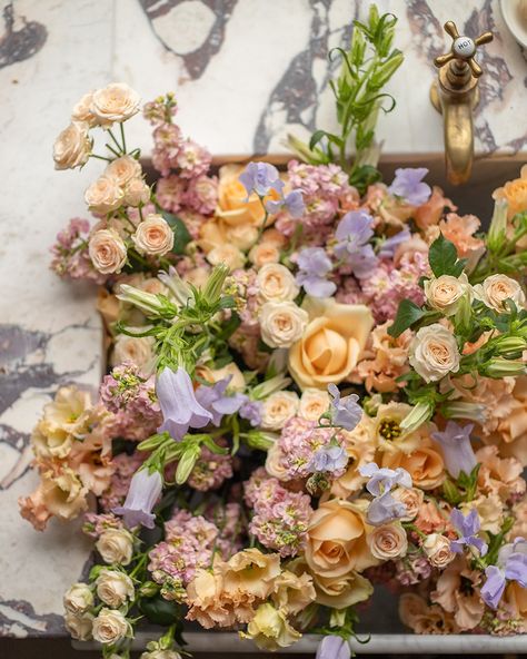 Our Peachy Keen collection features beautiful soft apricots and pops of lilac. Would you have this for your wedding flowers? Peachy Flowers, Simple Video, Peachy Keen, Diy Wedding Flowers, Flower Box, Seasonal Flowers, Spring Inspiration, Flower Boxes, Diy Flowers