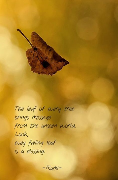 rumi quotes - The leaf of every tree brings message from the unseen world. Look, every falling leaf is a blessing. Leaves Quotes, Leaf Quotes, Rumi Poem, Falling Leaf, Rumi Poetry, Rumi Love Quotes, Fall Quotes, Rumi Love, Sufi Quotes