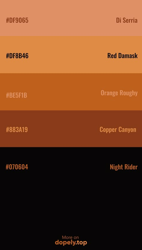 Color Palette inspiration with these hex codes: #DF9065 #DF8B46 #BE5F1B #883A19 #070604 #dopely #colorpalette Hex Palette Colour, Black Cat Color Palette, Night Life Color Palette, Spooky Color Palette Hex Codes, Color Palette Mushroom, Color Scheme With Hex Code, Dark Eclectic Color Palette, Calico Color Palette, Brown Color Palette Code