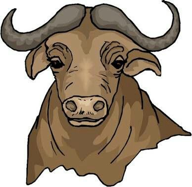 Carabao Drawing Easy, Carabao Drawing, Water Buffalo Drawing, Carabao Clipart, Inspiration Painting, Water Buffalo, Art Inspiration Painting, Easy Drawings, Moose Art