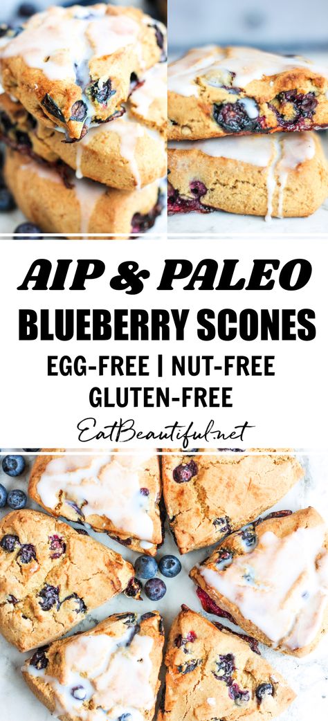 Aip Blueberry Recipes, Grain Free Scones, Paleo Breakfast No Eggs, Aip Scones, Aip Muffins, Almond Flour Scones, Nuts Breakfast, Paleo Scones, Egg Free Paleo