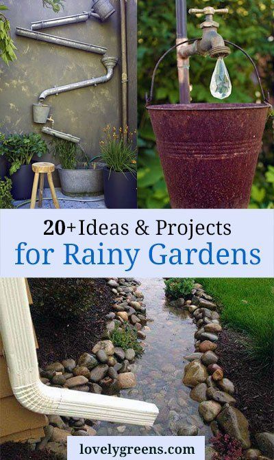 20+ Ideas & Projects for a Rainy Garden Rainy Garden, Rain Gardens, Tattoo Plant, Bog Garden, Rain Chain, Rain Water Collection, Rain Garden, Creative Gardening, Garden Show