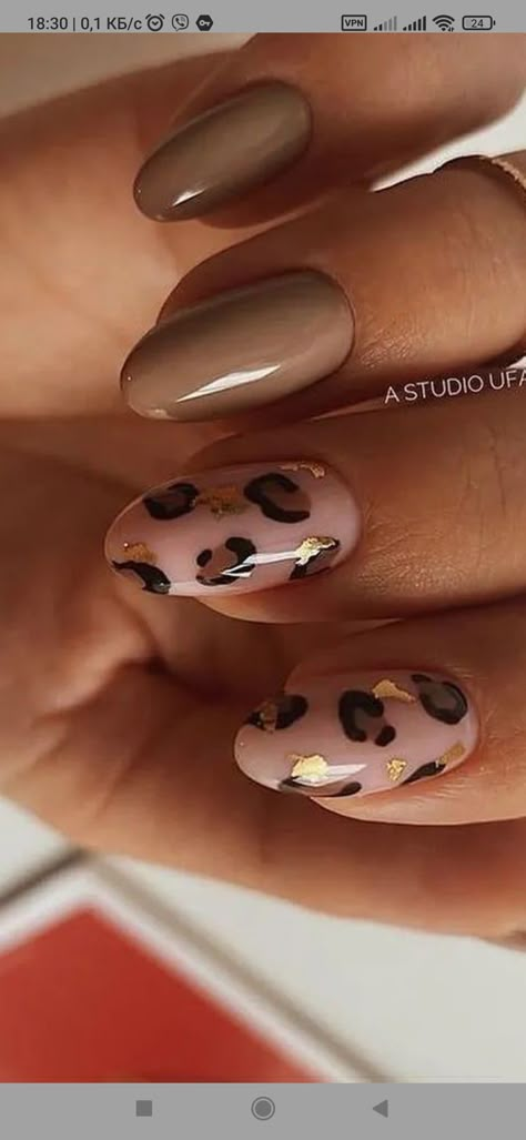 African Safari Nails, Nails For Africa, Safari Nails Designs, Giraffe Nails, Safari Nails, Classroom Seating, Print Nails, Nails Polish, Bach Party