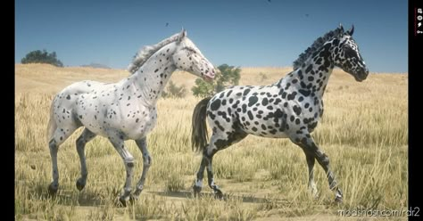 Realistic Leopard Appaloosas mod for Red Dead Redemption 2 at ModsHost! Improved textures and models for the few spot and leopard appaloosas! Requirements: Asi Loader Lenny’s Mod Loader Script Hook I’ve been wanting to improve these appaloosas for a super long time and finally was able to fulfill that mission! Appaloosas are one of my favorite horse breeds and the options they had in the game... Few Spotted Appaloosa, Rdr2 Horse Breeds, Leopard Appaloosa, Red Redemption 2, Appaloosa, Red Dead Redemption, Quarter Horse, Horse Breeds, Horses