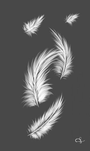 Feathers falling Falling Feathers Drawing, White Feather Tattoo, Falling Feather Tattoo, White Feather Tattoos, Falling Feathers, Chickadee Art, Girls Tattoos, Hat Burning, Crow Feather