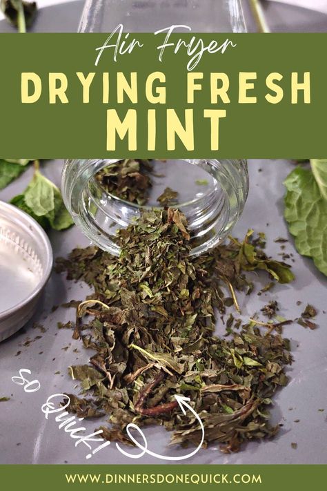 Dehydrating In Air Fryer, Drying Fresh Herbs, Drying Mint Leaves, Indulgent Desserts, Juicy Chicken, Fresh Mint, Mint Leaves, New Flavour, Drying Herbs