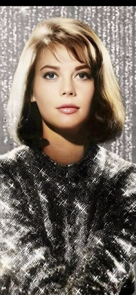 Connie Nelson, Wood Pictures, 60s Women, Robert Wagner, Classic Hollywood Glamour, Hollywood Beauty, Splendour In The Grass, 70s Women, Natalie Wood