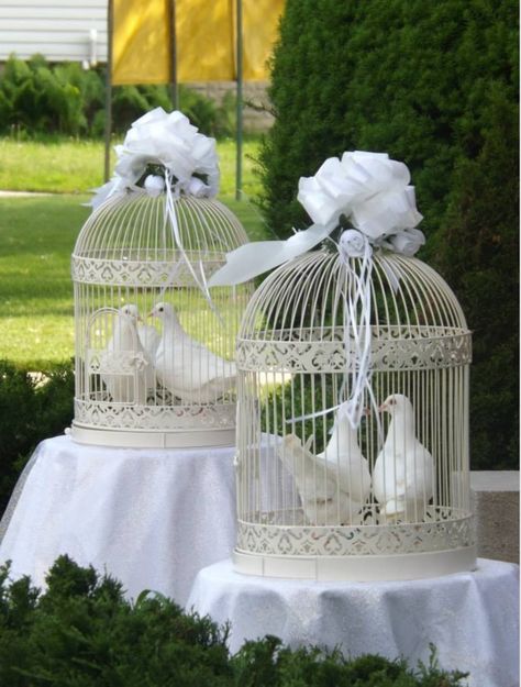 Double to Trip,e Dove Cage for Wedding Reception Diy Dove Wedding Theme, Dove Release, Wedding Doves, Diy Wedding Reception, Disney Wedding Theme, Bridal Shower Photos, Romantic Wedding Inspiration, Romantic Wedding Cake, Summer Beach Wedding