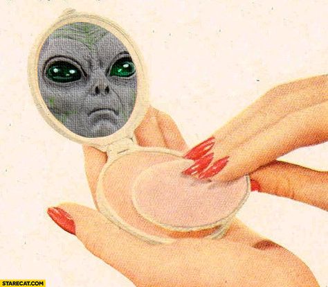 Alien face in makeup mirror Makeup Memes, Arte Inspo, Pulp Fiction, Catwoman, Dankest Memes, Collage Art, Coaching, Funny Pictures, Funny Quotes