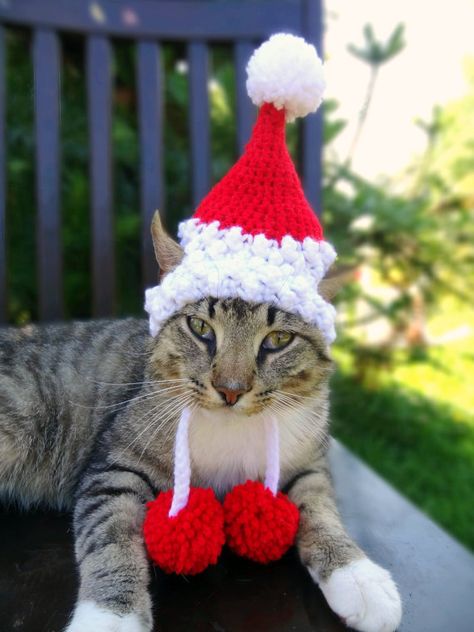 Santa Cat Dog Hat Costume - The Santa Claws Hat for Cats and Small Dogs - Christmas Hat for Pets Cat Santa Hat, Pet Diy, Reindeer Hat, Santa Claws, Santa Cat, Crochet Santa, Dog Hat, Cat Hat, Sweet Dogs