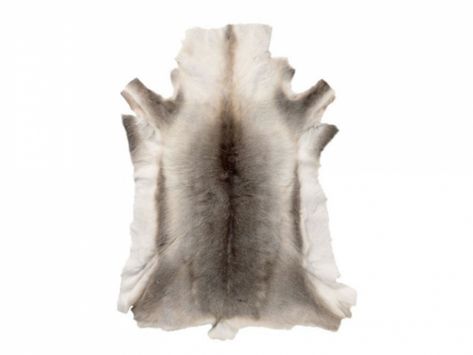 Caribou – Reindeer Rugs Scandinavia Design, Skin Rugs, Eclectic Rugs, Nordic Home, Fur Throw, Nature Collection, Sheepskin Rug, Animal Skin, Contemporary Rugs