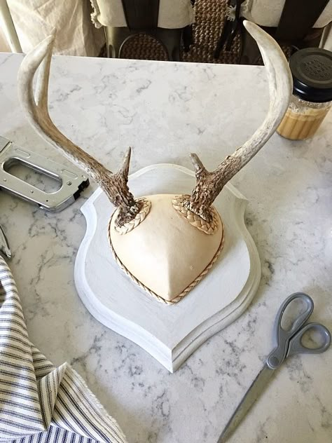 Skull Cap Antler Mount, Deer Antler Mount Ideas Display, Diy Deer Skull Mount, Mounting Deer Antlers Diy, Deer Skull Painting Ideas, Deer Antler Display Ideas, Antler Mount Diy, Diy Deer Antler Mount, Euro Mount Ideas