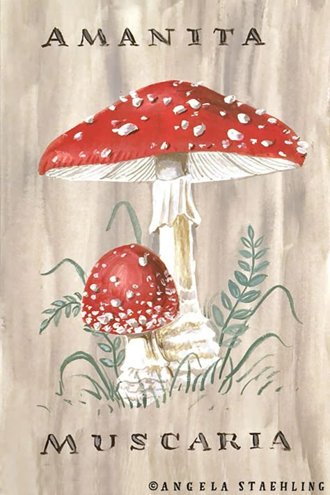 Mushroom Sketch, Vintage Mushroom Art, Fungi Illustration, Mushroom Painting, Botanical Sketchbook, Red Mushrooms, Mushroom Paint, Amanita Muscaria, Nature Art Drawings