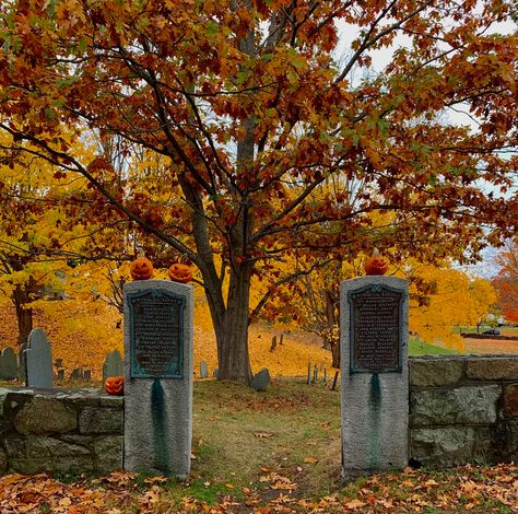 Fall Graveyard, Graveyard Aesthetic Flowers, Autumn Graveyard Aesthetic, Spooky Cemetery Graveyards, Autumn Cemetery, Nostalgia Halloween, Old Cemetery Aesthetic, Fall Cemetery, Hygge Autumn