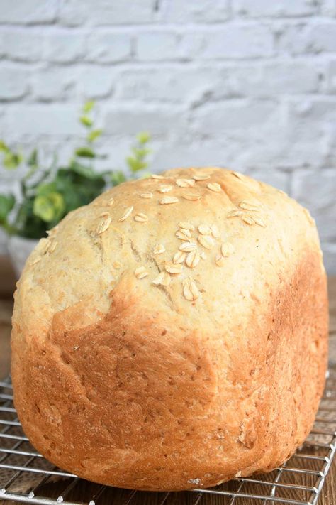 Homemade Grilled Cheese, Oatmeal Bread Recipe, Vegan Pumpkin Bread, Buttermilk Bread, Bread Soft, Homemade Sandwich, Homemade Oatmeal, Oatmeal Bread, Herb Bread