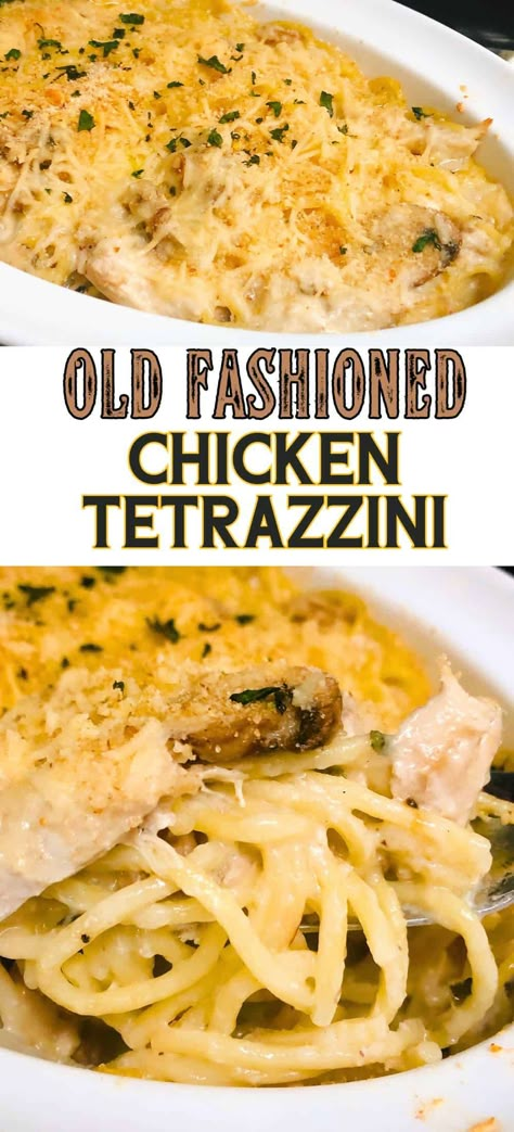 This simple chicken tetrazzini recipe is a delicious casserole made from fresh mushrooms, butter, cooked chicken and spaghetti or fettuccine noodles. A wonderful old fashioned dinner recipe. Chicken And Spaghetti, Chicken Tetrazzini Recipes, Easy Comfort Food Dinners, Flexitarian Recipes, Alfredo Sauce Recipe Homemade, Best Casserole, Inexpensive Dinners, Fettuccine Noodles, Chicken Tetrazzini