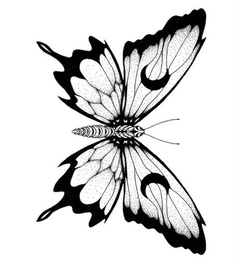 Blackwork Butterfly Tattoo, Butterfly Linework, Butterfly Moth Tattoo, Butterfly Tattoo Outline, Butterfly Drawing Outline, Borboleta Tattoo, Moth Drawing, Traditional Tattoo Flowers, Manga Tattoo