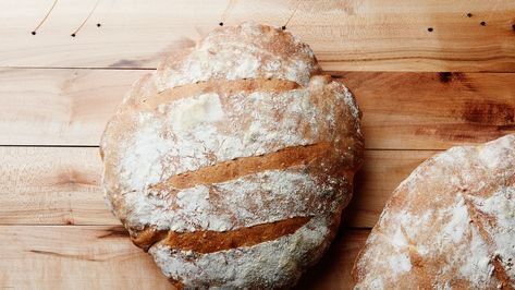 Recipe for Rustic Sourdough Bread With Fresh Yeast | Epicurious Sourdough Bread Recipes, Rustic Loaf, No Gluten Diet, Fresh Yeast, Sourdough Pizza Crust, Sourdough Bread Starter, Bread Starter, Sourdough Starter Recipe, King Food