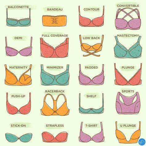 Pola Bra, Types Of Bras, Fashion Terminology, Fashion Infographic, Clothing Guide, Fashion Dictionary, Fashion Terms, Fashion Vocabulary, Outfit Trends