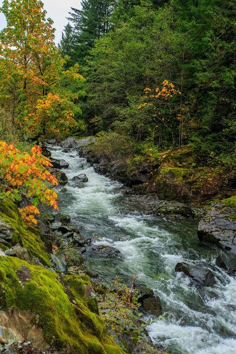 Video Nature, Fairy Queen, Pretty Landscapes, Autumn Scenery, British Columbia Canada, Beautiful Places Nature, Wild Nature, Beautiful Waterfalls, Vancouver Island