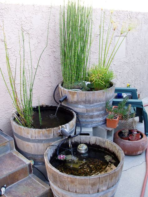 Wine Barrel Water Feature, Barrel Water Feature, Bog Filter, Goldfish Pond, Water Barrel, Diy Yard, Lily Pond, Whiskey Barrel, Wine Barrel