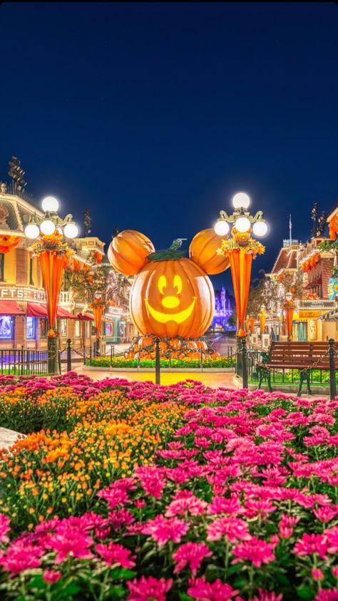 Mickey Pumpkin Wallpaper, Photo Wallpaper Aesthetic, California Halloween, Pumpkin Wallpaper, Disneyland Photos, Mickey Pumpkin, Pumpkin Photos, Disneyland Halloween, Disneyland Pictures